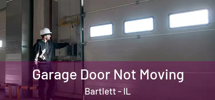  Garage Door Not Moving Bartlett - IL