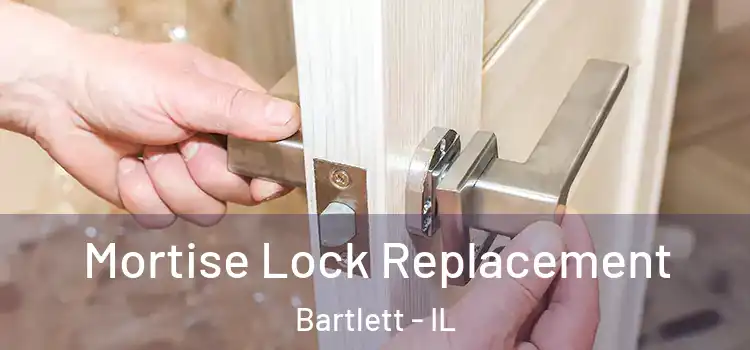  Mortise Lock Replacement Bartlett - IL
